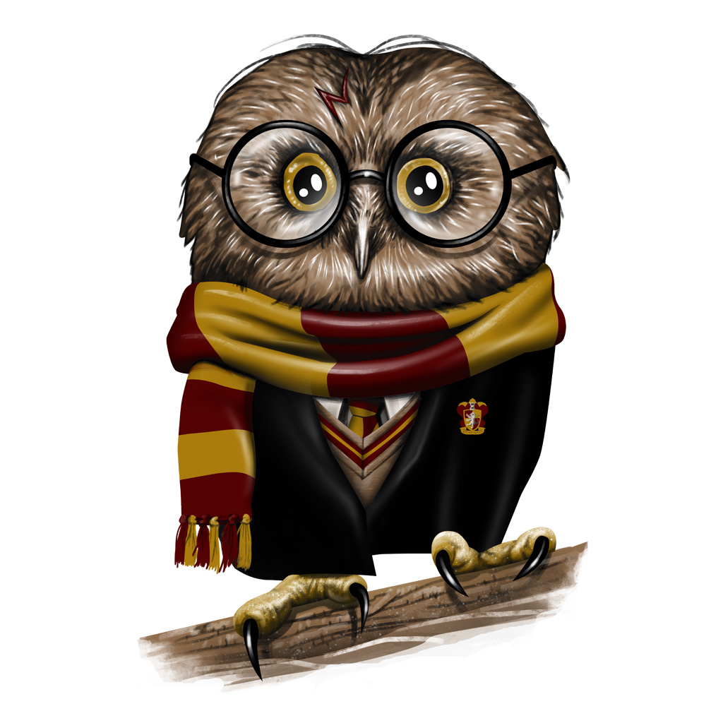 Носки с совой из Гарри Поттера